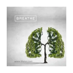 Lifeina BREATHE Pulse Oximeter